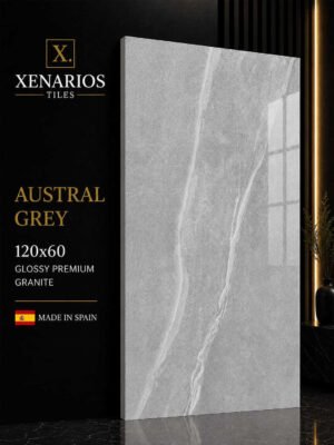 WhatsApp Image 2026-07-25 at 10.57.59 (1) (1) AUSTRAL Grey 59x119 Rettificato Γρανίτης Πλακάκι Δαπέδου