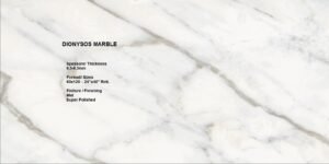DIONYSOS MARBLE RETTIFICATO MAT R10 120x60