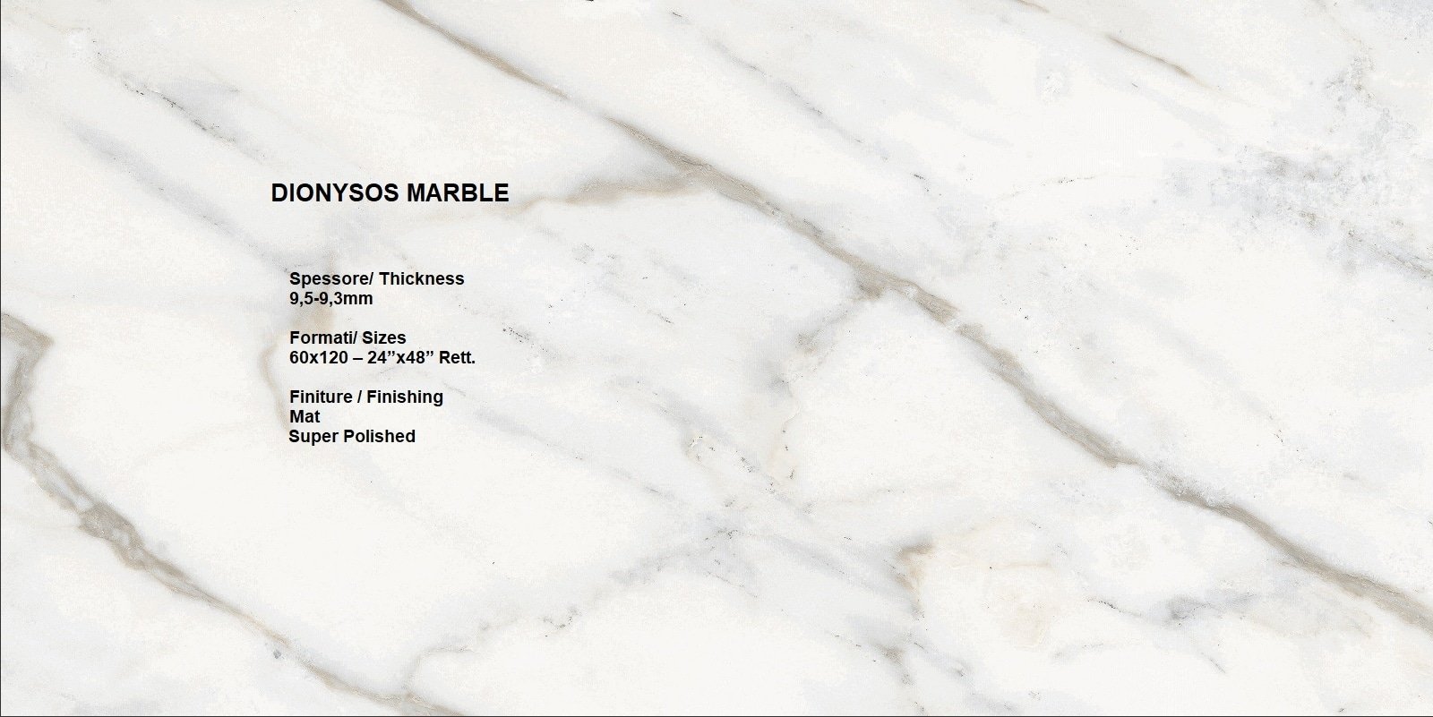 DIONYSOS MARBLE RETTIFICATO MAT R10 120×60