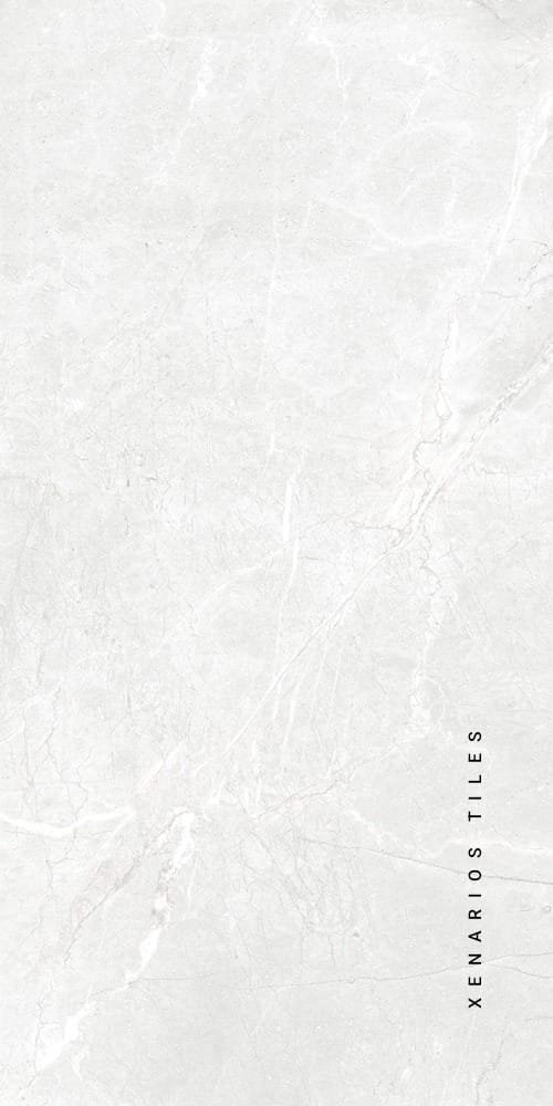 Centuri Ivory Polished 60×120 Porcellanato Rettificato Γρανίτης Πλακάκι