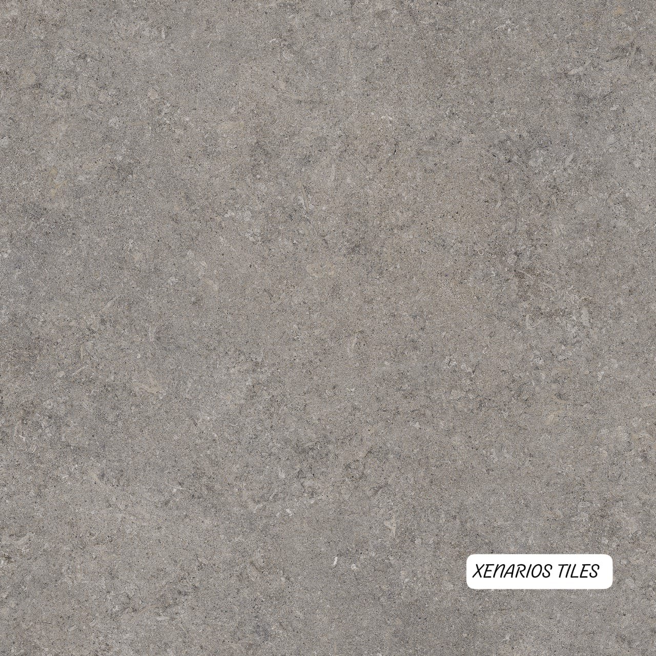 Vinci Grey Matt Rettificato 60×60