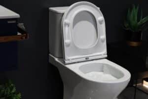 VORTEX -RIMLESS ΛΕΚΑΝΗ ΧΠ/ΠΣ ΜΕ ΚΑΛΥΜΜΑ SOFT CLOSE