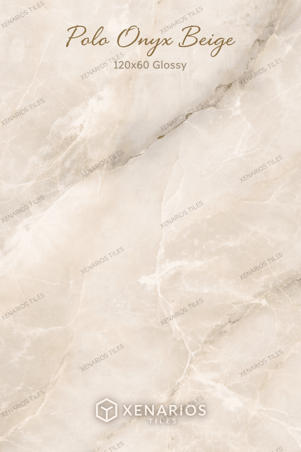 Polo Onyx Beige Glossy 120×60