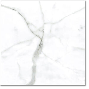 Ellis Satvario 60x60 Γυαλιστερό Γρανιτοπλακάκι Α'ποιότητας δαπέδου