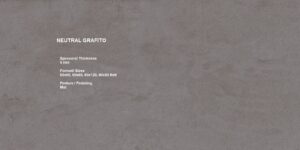 NEUTRAL GRAFITO Γρανίτης 30Χ60 R9 Satin