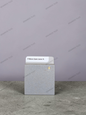 Mono Szare Jasne 20×20 – Πλακάκι μπάνιου, δαπέδου & κουζίνας