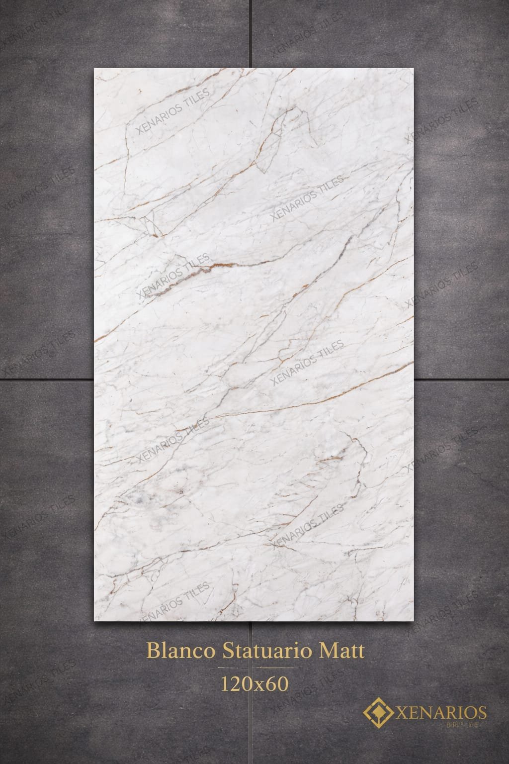 BLANCO STATUARIO 60x120cm Γρανίτης Δαπέδου/Τοίχου Α Ποιότητας Matt