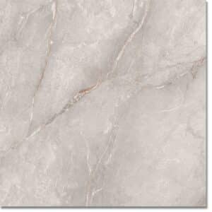 Bravas 100x100 Mate Porcellanato Rettificato