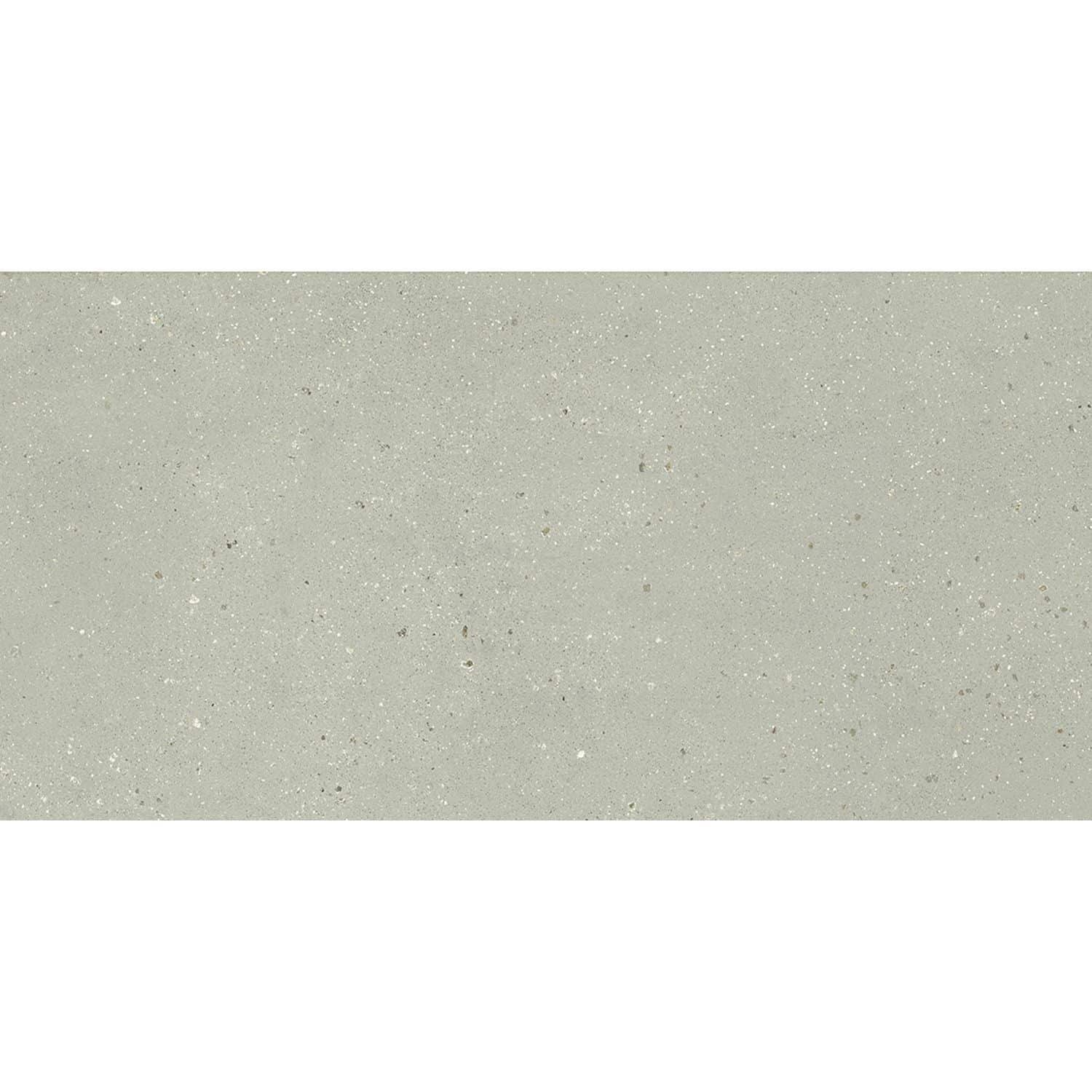 GEOLOGY SALVIA 60X120 RETT Γρανίτης Ματ