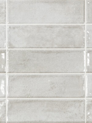 0026551619176 POOL GREY 31,6X60