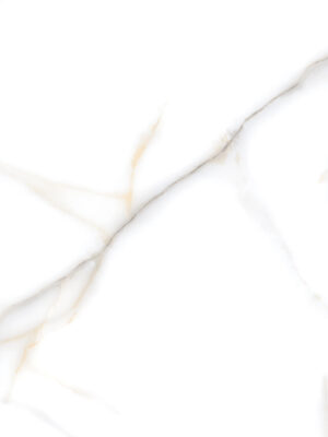 Vatican Statuario 60x120 Gloss/Γυαλιστερό Rettificato Γρανιτοπλακάκι Α' ποιότητας Δαπέδου PPSX