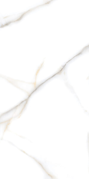 Vatican Statuario 60x120 Gloss/Γυαλιστερό Rettificato Γρανιτοπλακάκι Α' ποιότητας Δαπέδου PPSX