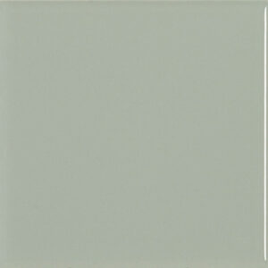LISO 6 SAGE BRILLO 10x10cm