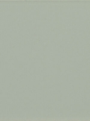 LISO 6 SAGE BRILLO 10x10cm