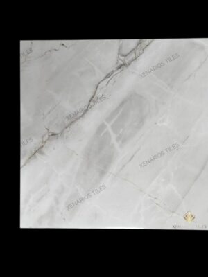 Venice Beige 60x60 Γυαλιστερό Rettificato Γρανιτοπλακάκι Α' ποιότητας Δαπέδου PPSX