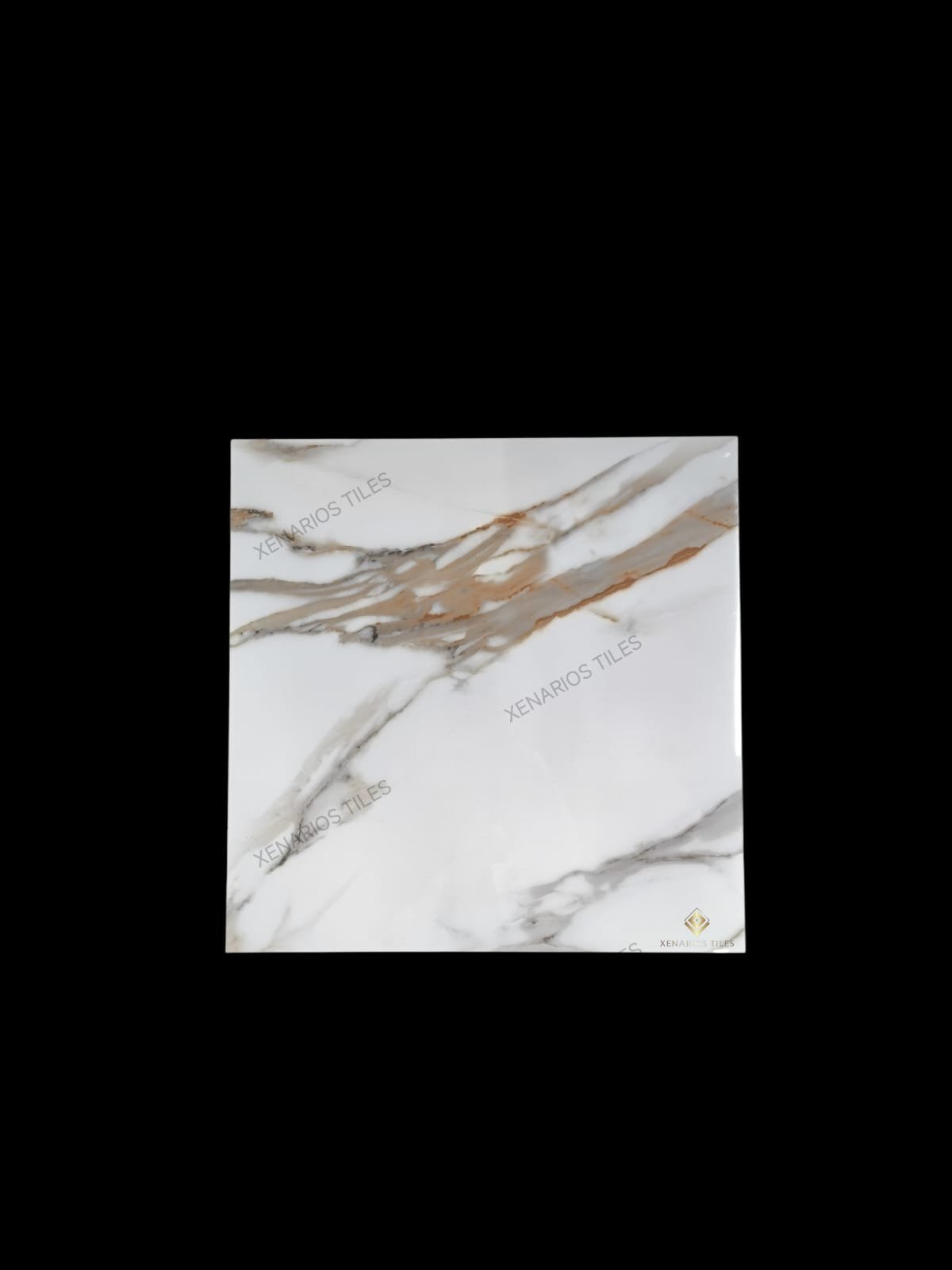 Borgini White 60×60 Γυαλιστερό Rettificato Γρανιτοπλακάκι Α’ ποιότητας Δαπέδου PPSX
