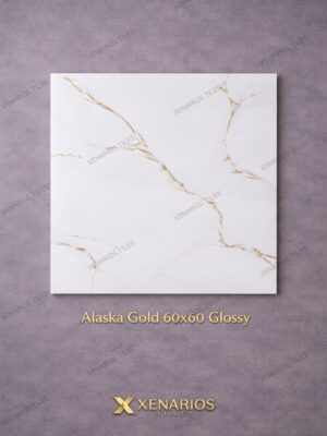 Alaska Gold 60x60 Γυαλιστερό Rettificato Γρανιτοπλακάκι Α' ποιότητας Δαπέδου PPSX