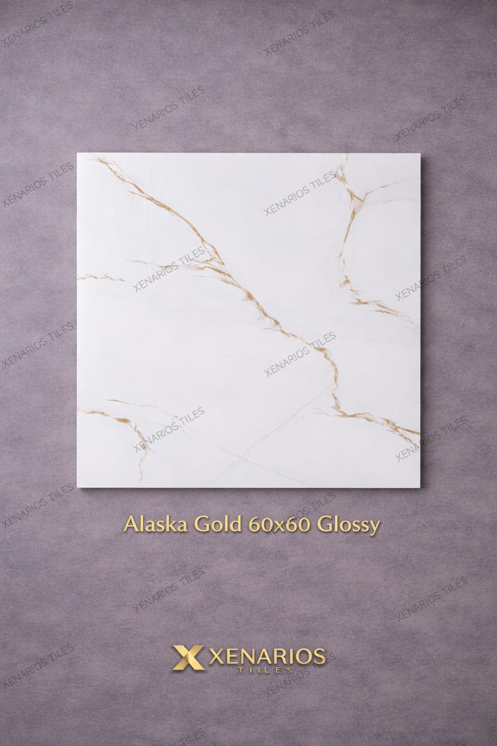 Alaska Gold 60×60 Γυαλιστερό Rettificato Γρανιτοπλακάκι Α’ ποιότητας Δαπέδου PPSX