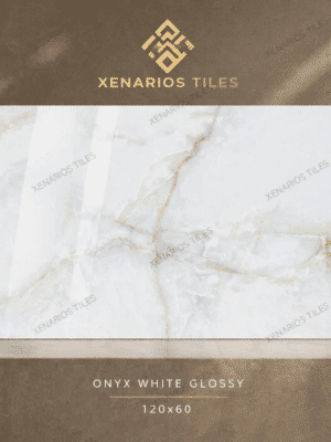 Onyx White Glossy 120x60