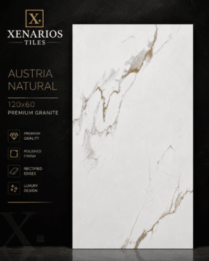 Austrian Natural 60x120 Gloss/Γυαλιστερό Rettificato Γρανιτοπλακάκι Α' ποιότητας Δαπέδου PPSX