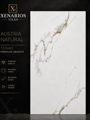 1000048136-1.png Austrian Natural 60x120 Gloss/Γυαλιστερό Rettificato Γρανιτοπλακάκι Α' ποιότητας Δαπέδου PPSX
