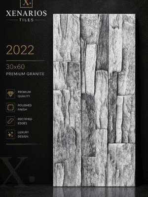 1000048157-1.png 2022 Γρανίτης 30x60 Τύπου Πέτρα Mat Carving Rectified Αντιπαγωτικός Α΄ Ποιότητας PPSX