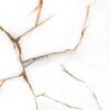 MOONLIGHT BEIGE 60×120 Γρανίτης Α Ποιότητας Σατινέ R9