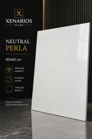 5e839e25-218f-4cc4-a033-169956df1fe5 NEUTRAL PERLA premium polished granite 60x60