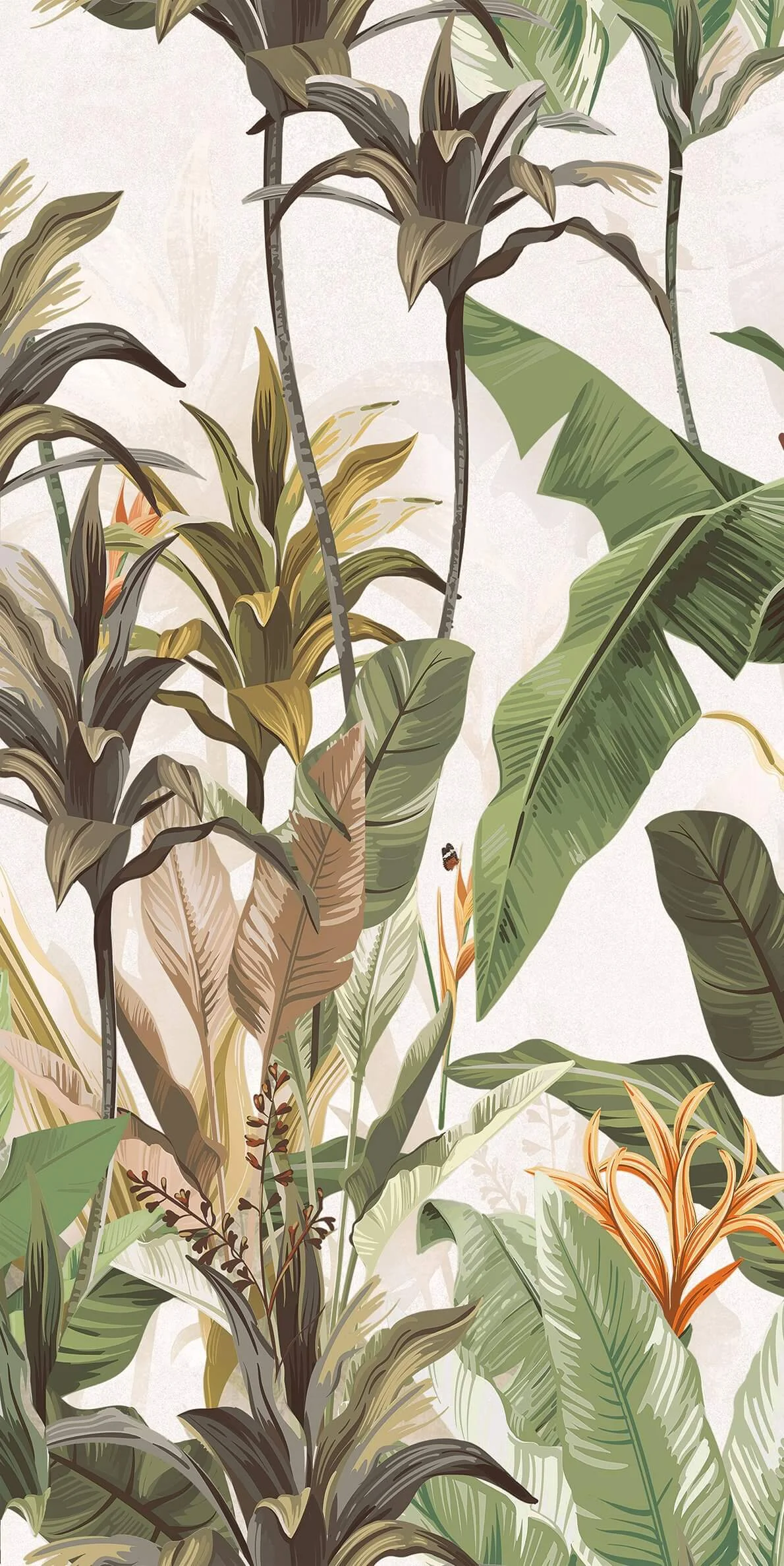 FOREST BLANCO DECOR 60×120 Γρανίτης Α Ποιότητας Ματ Σατινέ R9