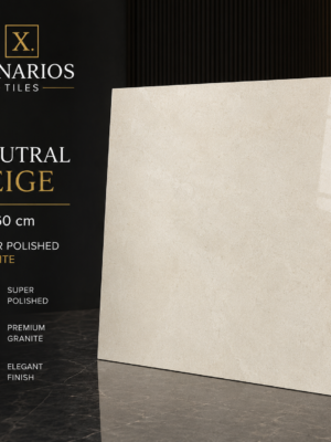 NEUTRAL BEIGE premium polished granite 60x60
