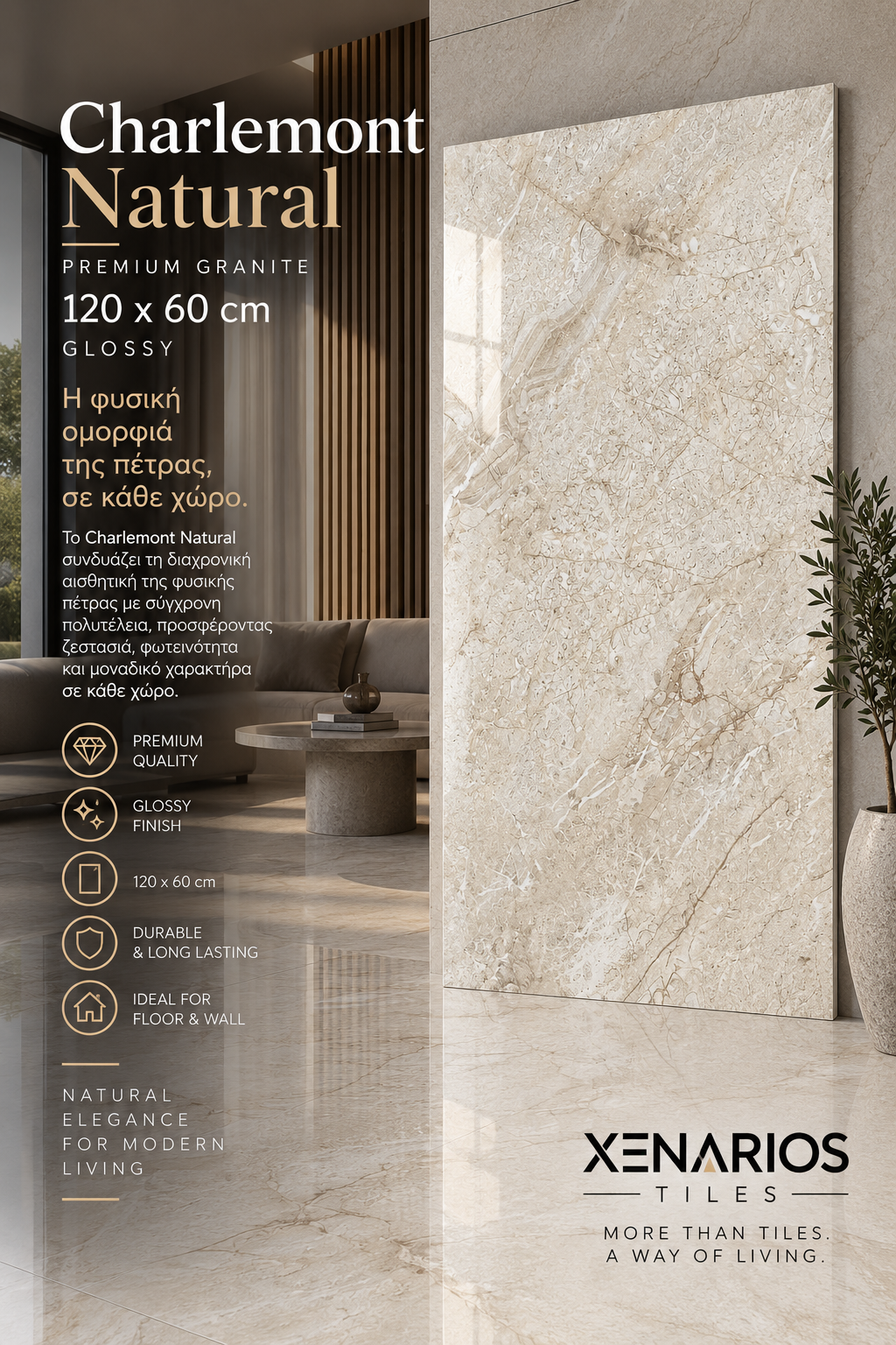 CHARLEMONT NATURAL PREMIUM GLOSSY GRANITE 120X60