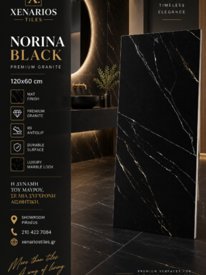 Εικόνα Codex 5 Σεπ 2026, 11_27_39 π.μ. NORINA BLACK 120X60 MAT PREMIUM GRANITE R9 ANTISLIP